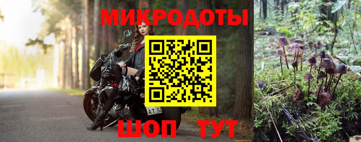 Соликамск  Псилоцибиновые грибы GOLDEN TEACHER  Вход с VPN  Галлюциногенные грибы GOLDEN TEACHER 